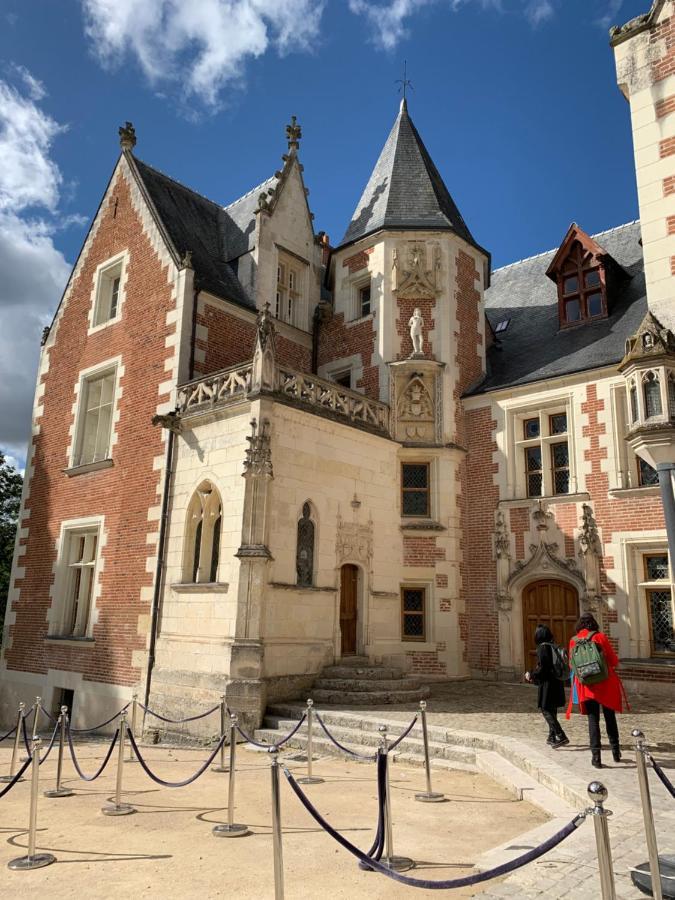 Au Coeur des Châteaux Chambon-sur-Cisse Exterior foto