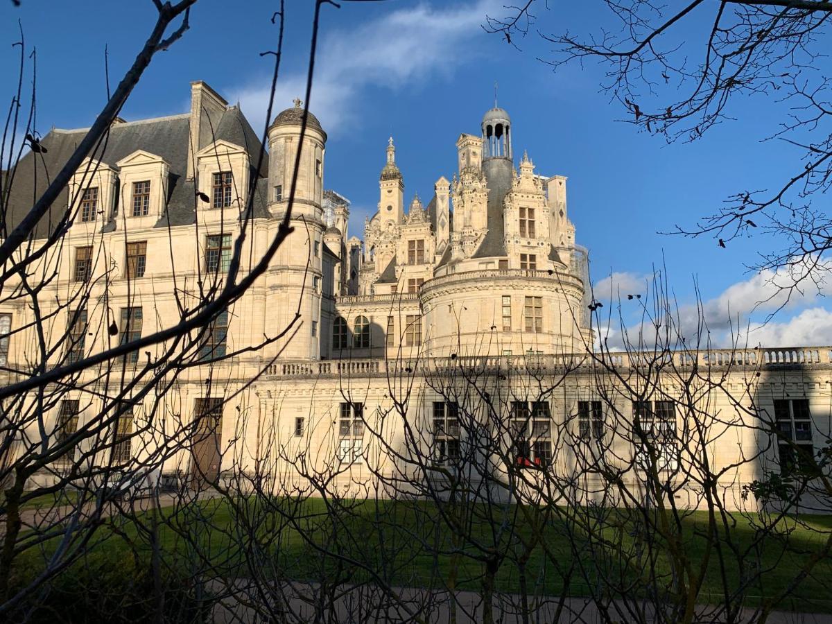 Au Coeur des Châteaux Chambon-sur-Cisse Exterior foto